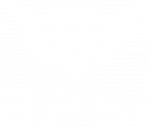 BPSI- Logo blanco
